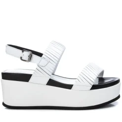 CARMELA OHER PLATFORMS