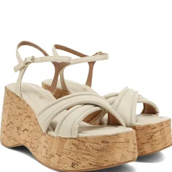 DI VALENTINI OLGA PLATFORMS