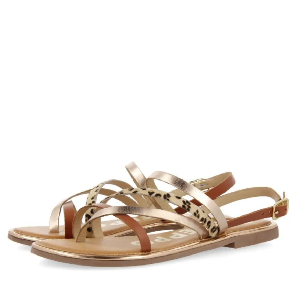 GIOSEPPO IOTA FLATS