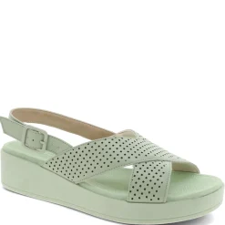 USAFLEX ERAN FLATFORM