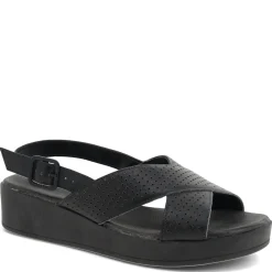 USAFLEX ERAN FLATFORM